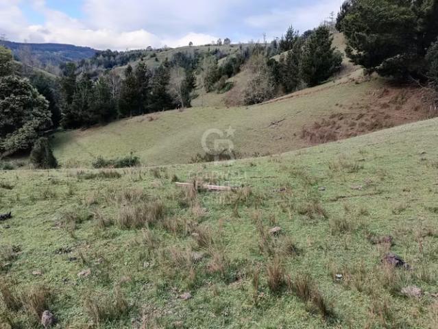 Campo de 33 Hectáreas | 0 dormitorios por 180000. 00 en San Pablo