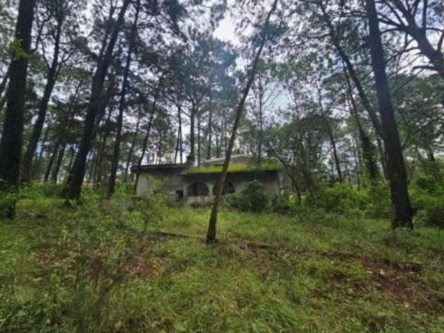Se VENDE CABAÑANA Col. Los Cazos en Mazamitla, Jalisco