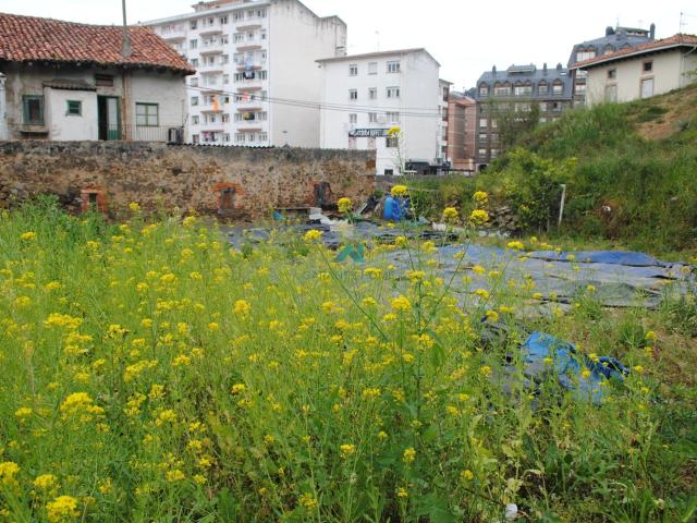 Se vende casa con terreno urbano en Colindres