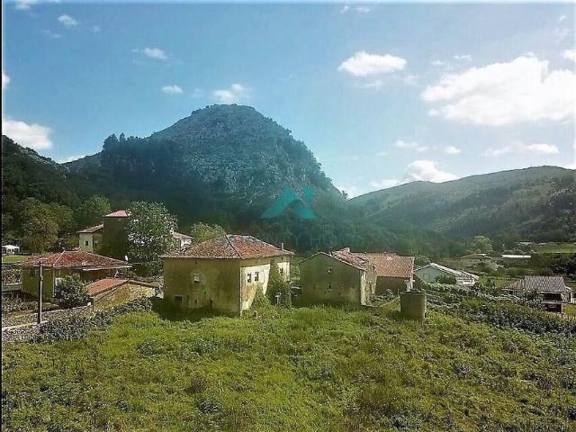 Se vende casa de pueblo con terreno