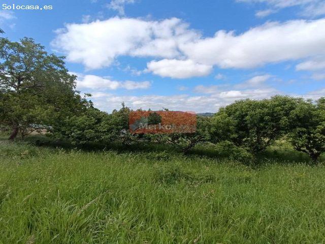 SE VENDE CASA DE PIEDRA CON FINCA EN MEILAN CON 2.000 M2 FINCA!