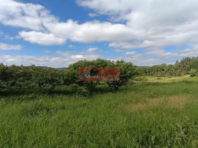 SE VENDE CASA DE PIEDRA CON FINCA EN MEILAN CON 2.000 M2 FINCA!