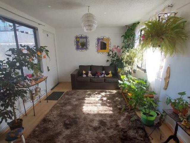 Se vende casa en Lionel Cooper Cerro Placeres
