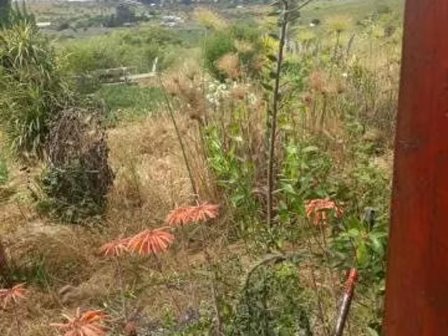 Se vende casa en parcela de 5.000mt2 | 2 Dormitorios por 95000. 00 en Melipilla