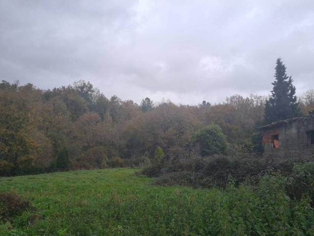Se vende casa en Ribeira Sacra