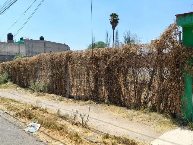 Se vende casa en san Andrés Chiautla, cerca de Texcoco