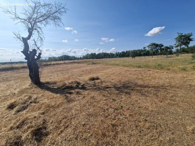 SE VENDE CASA EN VALENCIA DE DON JUAN CON PARCELA DE 1500 M2, 2 PLANTAS, COCINA, SALÓN, 7 HAB