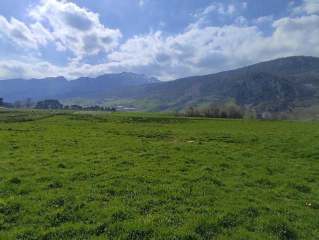 SE VENDE CASA Y TERRENO EN LA GANDARA SOBA CANTABRIA