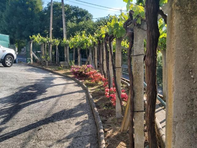 SE VENDE CASA ZONA UNIVERSITARIA LA LONIA MENDE