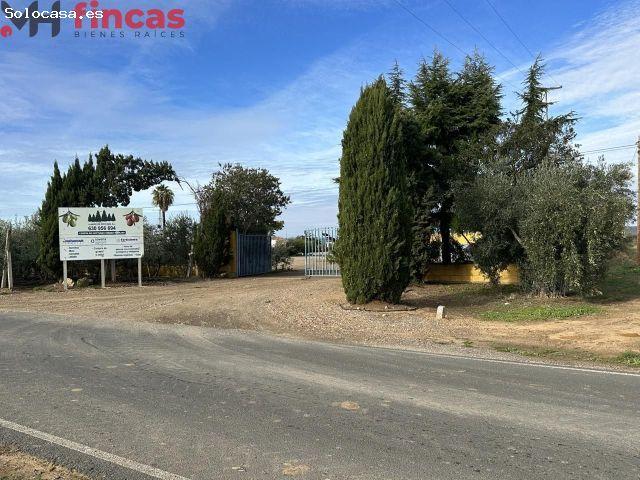 SE VENDE COOPERATIVA FINCA DE 10.000Mt CON NEGOCIO EN PLENA FACTURACIÓN MUY RENTABLE NAVE 1500MT