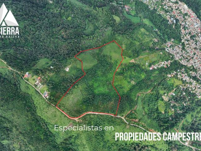 Se vende enorme Terreno en las afueras de Huauchinango
