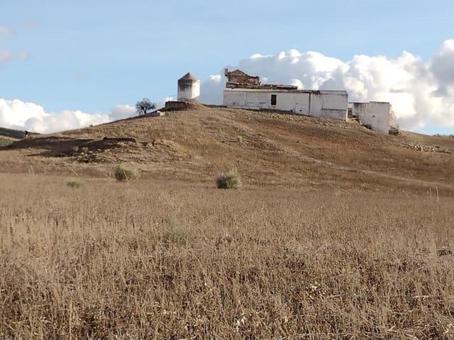Se vende finca 115ha + cortijo por rehabilitar en población. 0m² Balcón de malaga