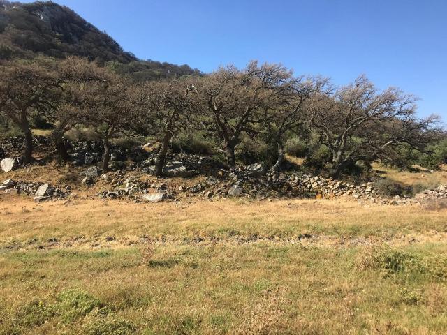 Se vende finca única