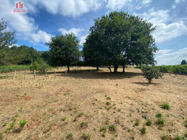 SE VENDE FINCA URBANIZABLE EN LA ZONA DE LAIAS