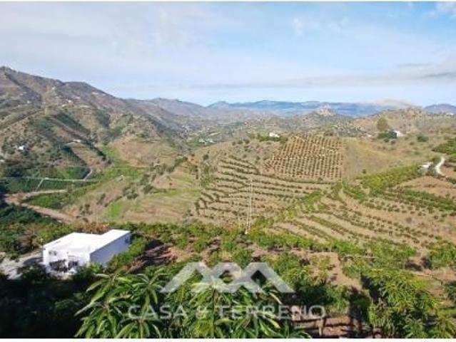 Se vende: Finca, Benamargosa, Málaga, Andalucía