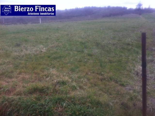SE VENDE FINCA RÚSTICA EN CORTIGUERA