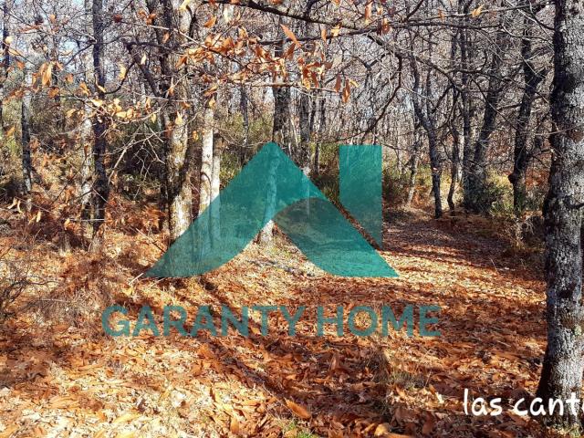 SE VENDE FINCA EN ALDEA NUEVA DE LA VERA