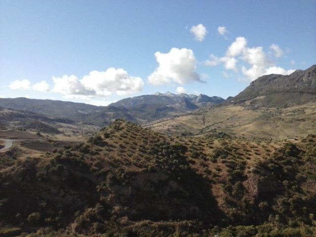 SE VENDE FINCA EN MONTECORTO CON VISTAS A SIERRA DE GRAZALEMA