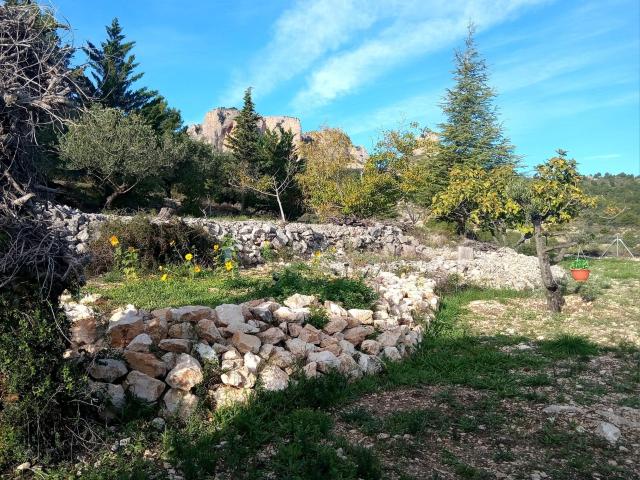 SE VENDE FINCA RÚSTICA CON CASA DE APEROS