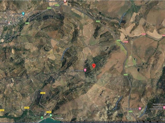 SE VENDE FINCA RUSTICA EN ALGODONALES