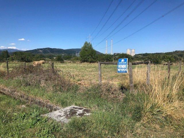 SE VENDE FINCA RUSTICA EN BARCENA DEL BIERZO