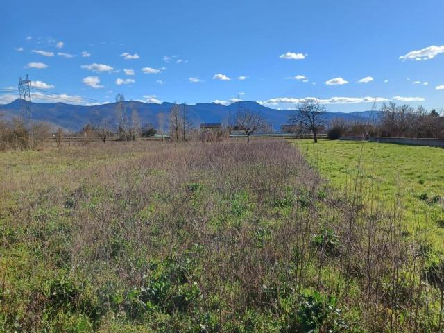 SE VENDE FINCA RUSTICA EN CAMPONARAYA DE 2.206M2