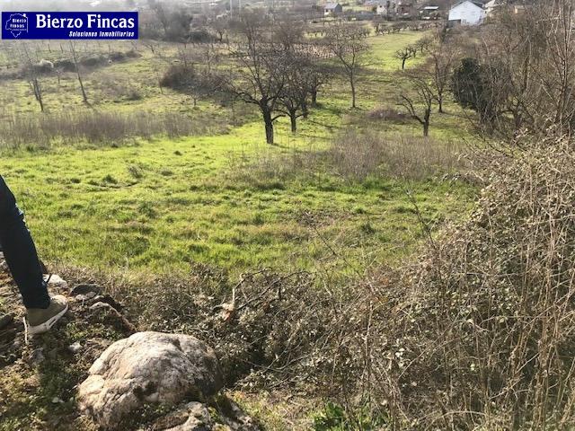 SE VENDE FINCA RÚSTICA EN TORAL DE MERAYO