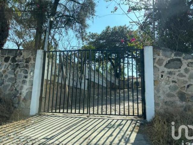 SE VENDE HECTAREA DENTRO DEL BOSQUE DE LA PRIMAVERA PROLONGACION MARIANO OTERO EN GUADALAJARA