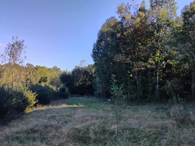 Se vende hermosa casa en Ancud | 3 dormitorios por 150000. 00 en Ancud