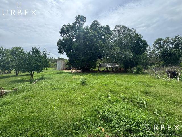 SE VENDE HERMOSA FINCA DE 2 HECT?REAS CON CASA EN CASTAMAY, CAMPECHE