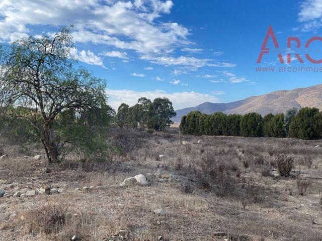 SE VENDE INCRE?BLE TERRENO EN VALLE DE GUADALUPE/ LAND FOR SALE