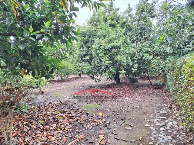 Se Vende Linda Casa Quinta de un piso, con amplio terreno, altura P 23, comuna de La Cruz. 7 dormitorios por 260000. 00 en La Cruz