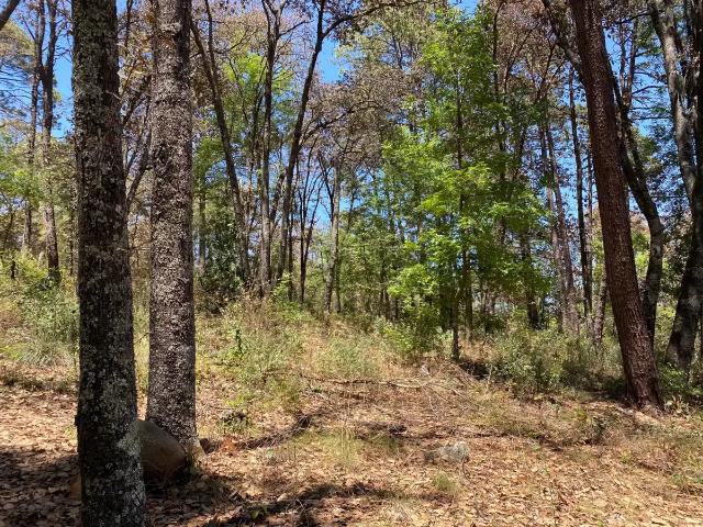 SE VENDE LOTE EN RESIDENCIAL QUINTA ANDREA, EN HUASCA DE OCAMPO, HGO. PUEBLO MÁGICO