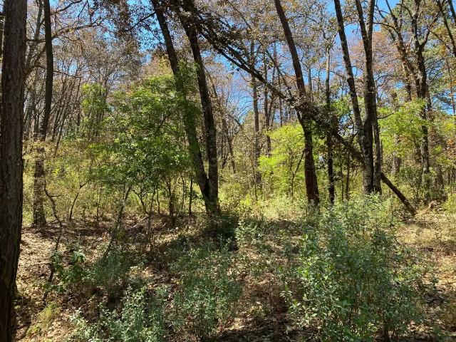 SE VENDE LOTE EN RESIDENCIAL QUINTA ANDREA, EN HUASCA DE OCAMPO, HGO. PUEBLO MÁGICO