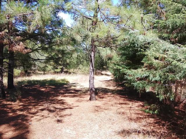 SE VENDE LOTE EN RESIDENCIAL QUINTA ANDREA, EN HUASCA DE OCAMPO, HGO. PUEBLO MÁGICO