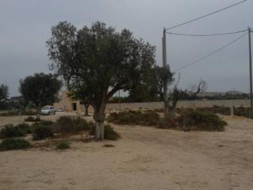 SE VENDE O ALQUILA TERRENO CON CASA PARA REFORMAR, 25.000 MTS DE TERRENO, PRECIO ALGO NEGOCIABLE