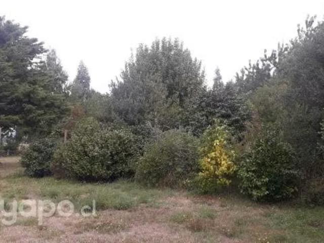Se Vende Parcela Comuna de Los Lagos | 4 Dormitorios por 80000. 00 en Los Lagos