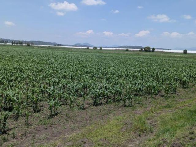 Se vende parcela de riego por hectárea en el pueblo mágico de Amealco de Bonfil
