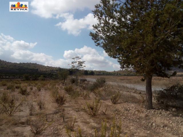 SE VENDE PARCELA RÚSTICA EN LAS AFUERAS DE ASPE IDEAL PARA ACTIVIDAD DE CULTIVO