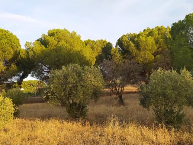 Se vende parcela
