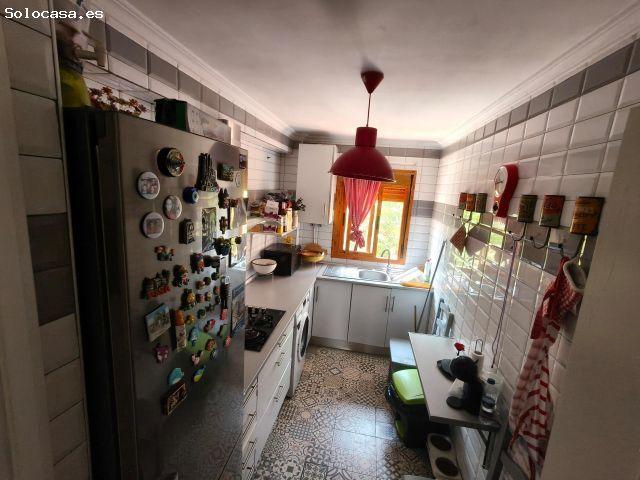 SE VENDE PISO EN PUERTO REAL, ZONA PLAZA DE LA LIBERTAD