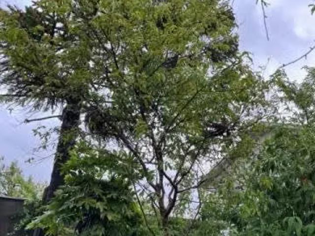 Se vende propiedad con dos casas en pueblo seco | 4 dormitorios por 150000. 00 en San Ignacio
