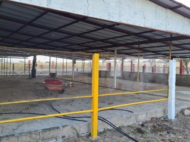 Se vende rancho de 13 hect?reas muy cerca del Aeropuerto Internacional