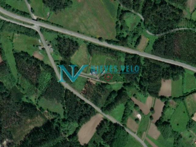 Se vende finca rústica de 1.926 m2 con plantación de árboles