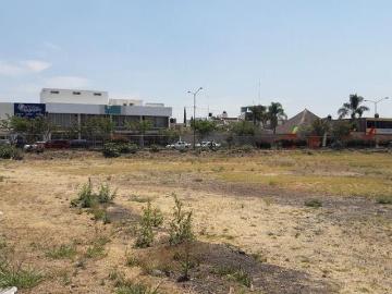 SE VENDEN 06 TERRENOS COMERCIALES CÉNTRICOS, ZAMORA, MICH