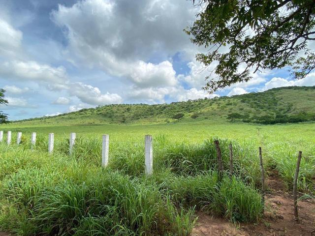Se venden 15.67 hect?reas de terreno en Loma Colorada, Cintalapa Chiapas