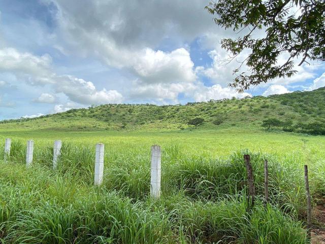 Se venden 15.67 hect?reas de terreno en Loma Colorada, Cintalapa Chiapas