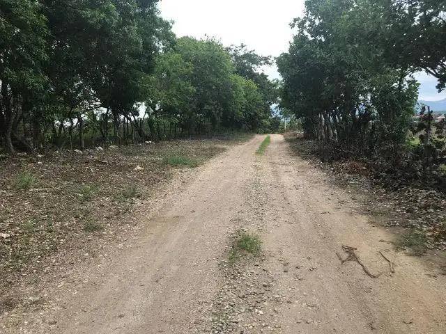 Se Venden Lotes de Terreno en el Jobo en zona privilegiada!