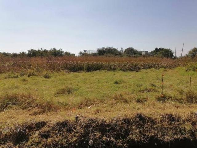 SE VENDEN LOTES EN EJIDOS DE ACAPATZINGO