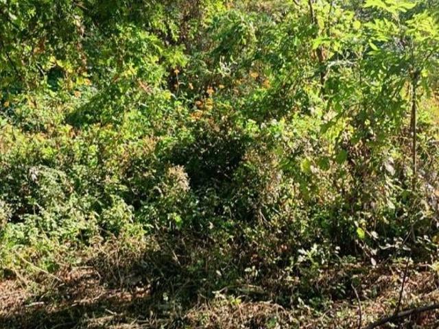 Se venden terrenos en ahuatepec